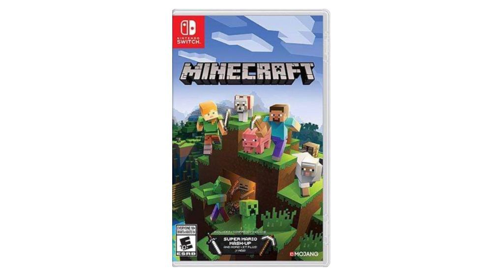 Minecraft (SW1)