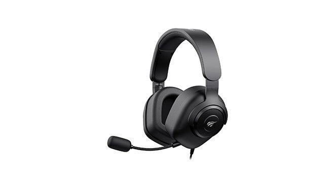 Website headphones 1